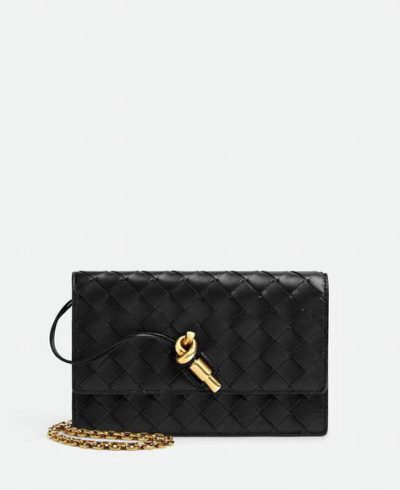 Bottega Veneta Andiamo Wallet on Chain