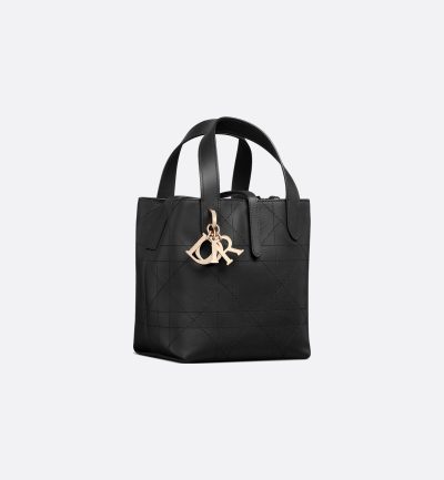 Small Dior Toujours Vertical Tote Bag