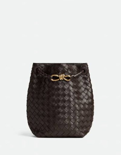 Bottega Veneta Small Andiamo Bucket
