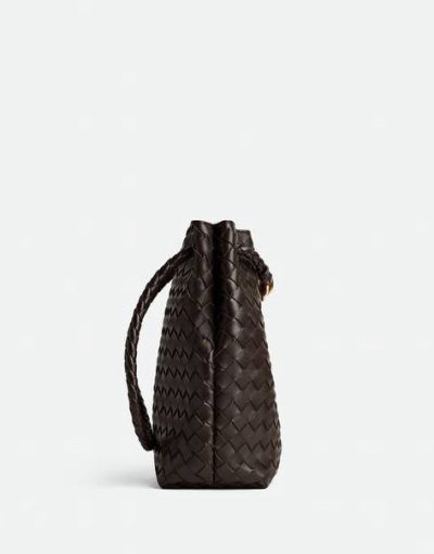 Bottega Veneta Small Andiamo Bucket