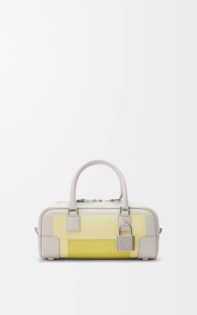 Loewe Amazona 23 cropped bag in nappa calfskin