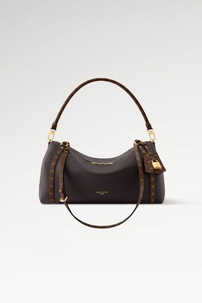 LOUIS VUITTION Express MM Bag