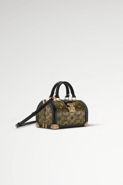 Louis Vuittion Speedy Trunk 20 Bag