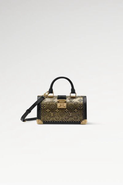 Louis Vuittion Speedy Trunk 20 Bag